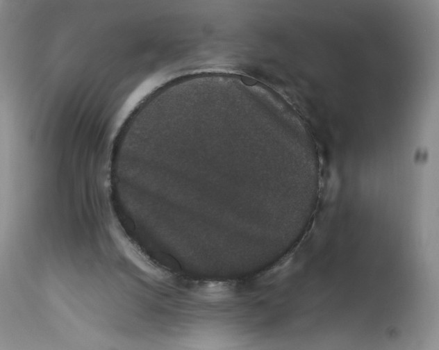 X0000112850056200909111455