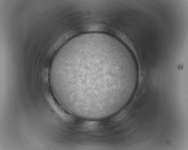 X0000112850057200909111455