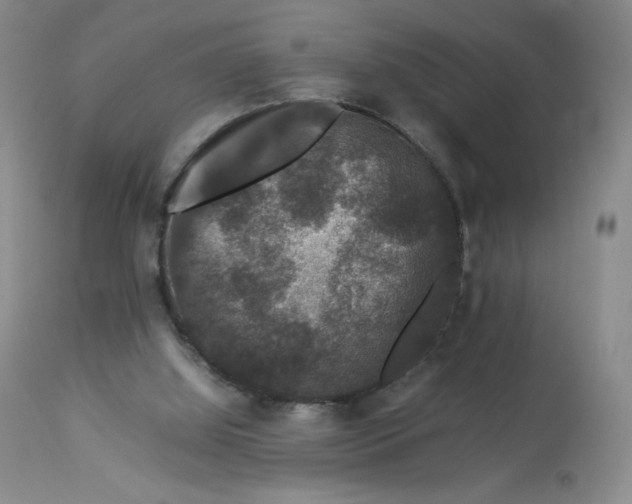 X0000112850060200909111455