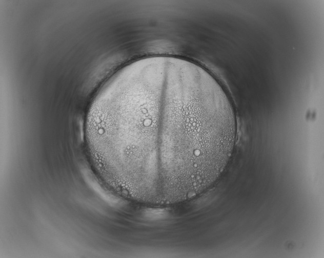 X0000112850061200909111455