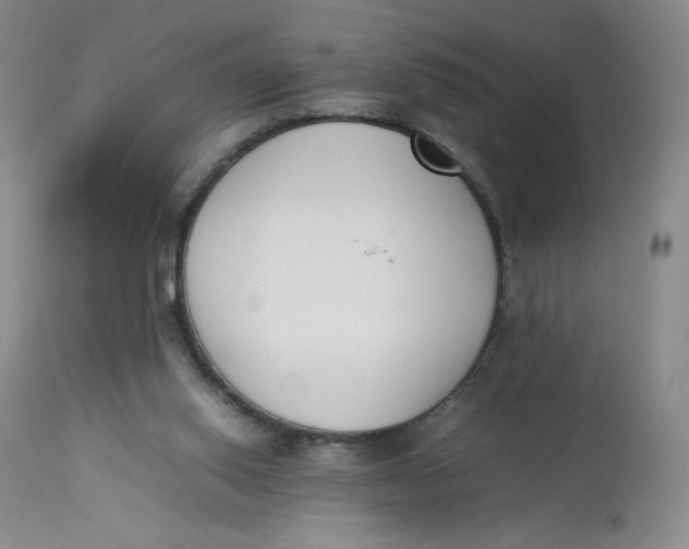 X0000112850062200909111455