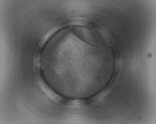 X0000112850064200909111455