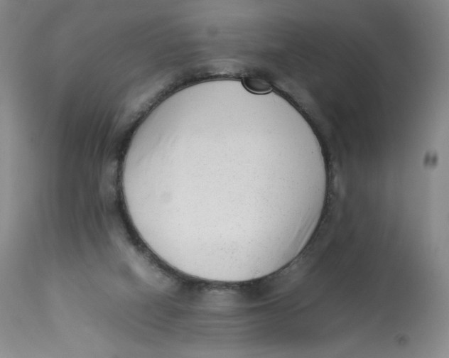 X0000112850066200909111455