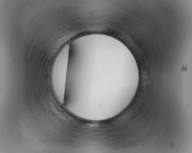 X0000112850068200909111455