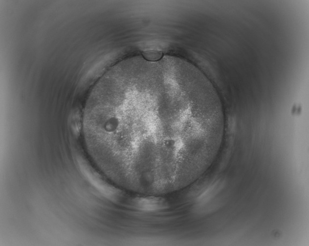 X0000112850069200909111455