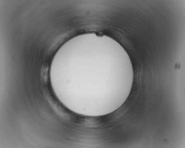 X0000112850070200909111455