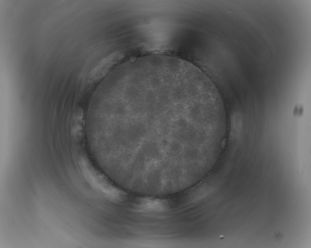 X0000112850073200909111455