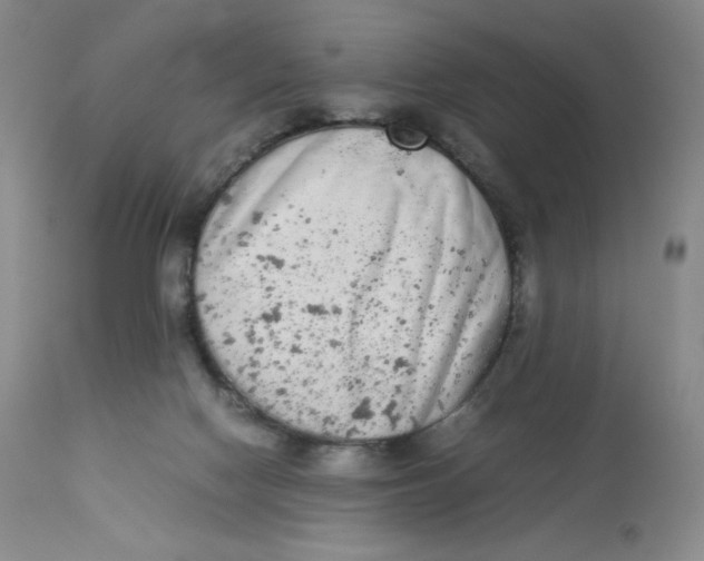 X0000112850074200909111455