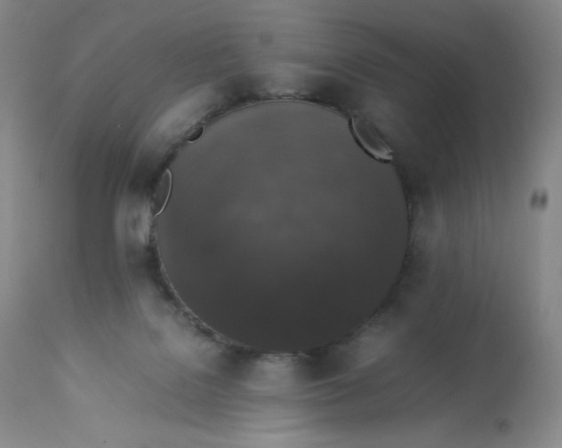 X0000112850076200909111455