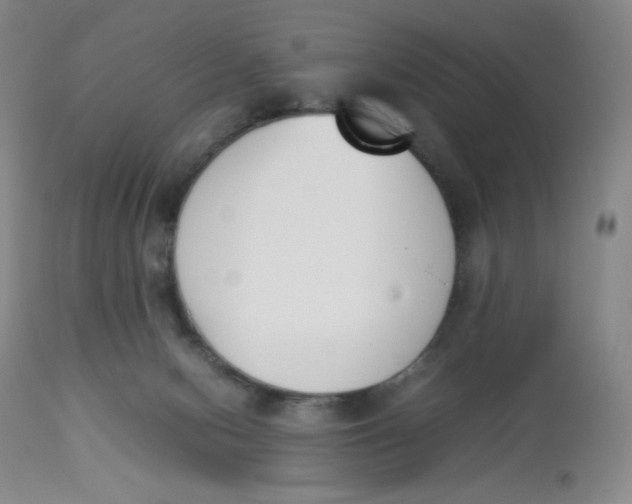 X0000112850078200909111455