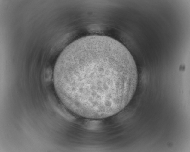 X0000112850081200909111455