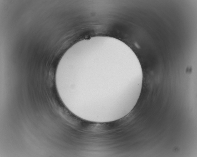 X0000112850082200909111455