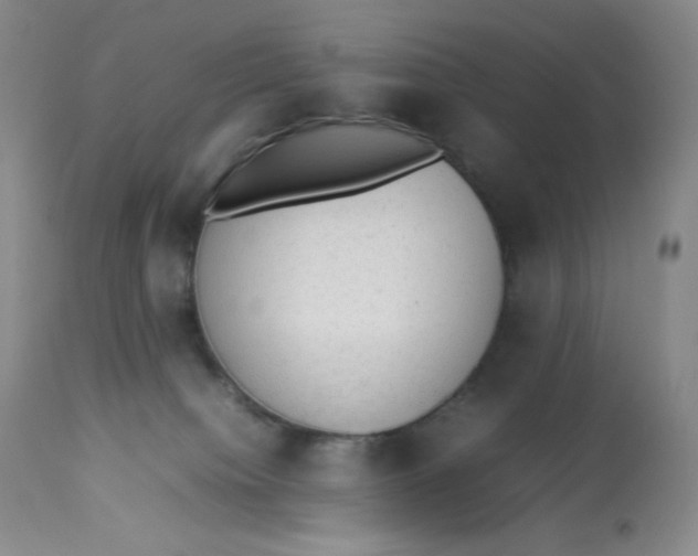 X0000112850084200909111455