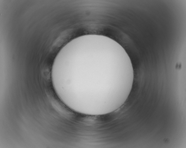 X0000112850086200909111455