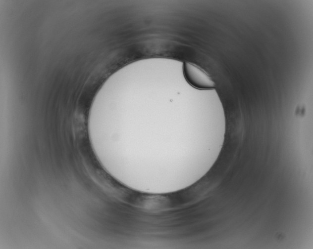 X0000112850087200909111455