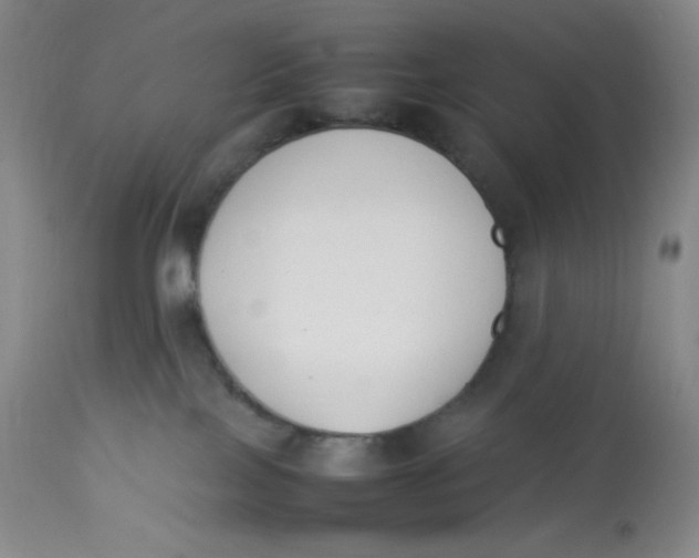 X0000112850089200909111455