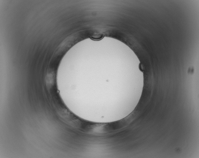 X0000112850090200909111455