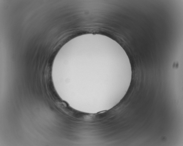 X0000112850092200909111455