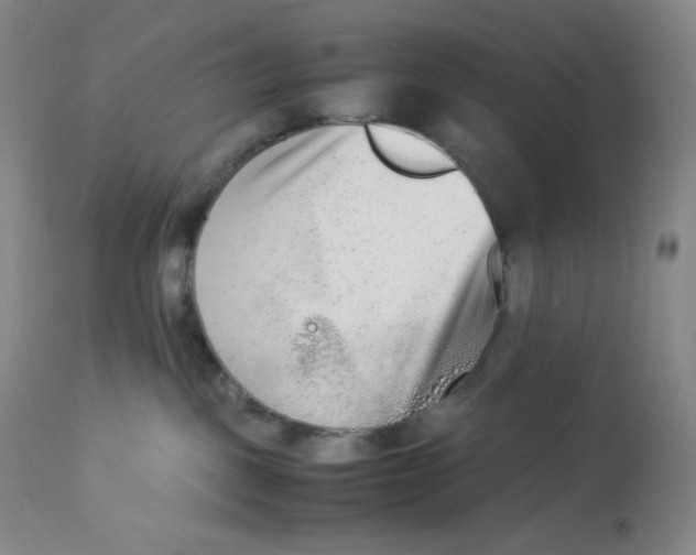 X0000112850093200909111455