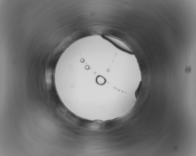 X0000112850094200909111455