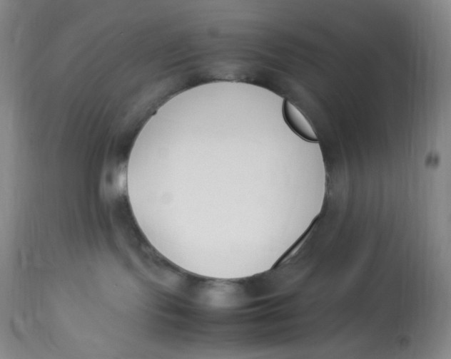 X0000112850095200909111455