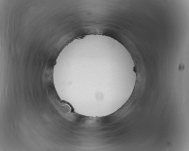 X0000112850096200909111455