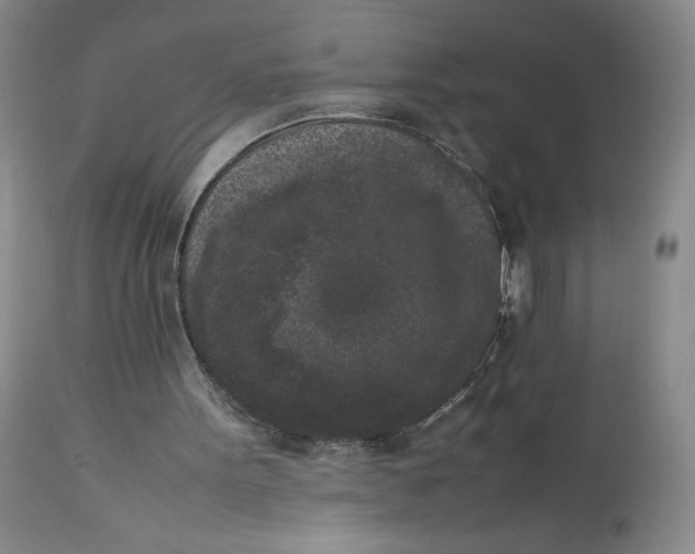 X0000112850099200909111454