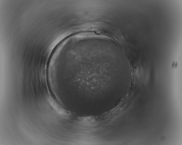 X0000112850100200909111454