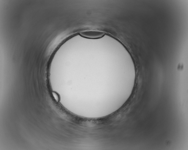 X0000112850103200909111454