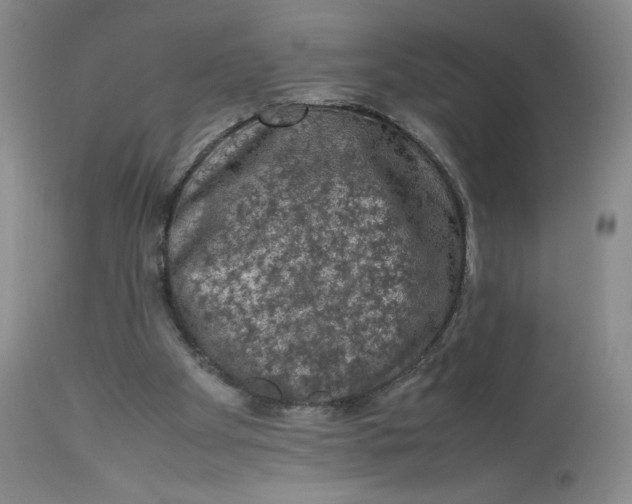 X0000112850105200909111454