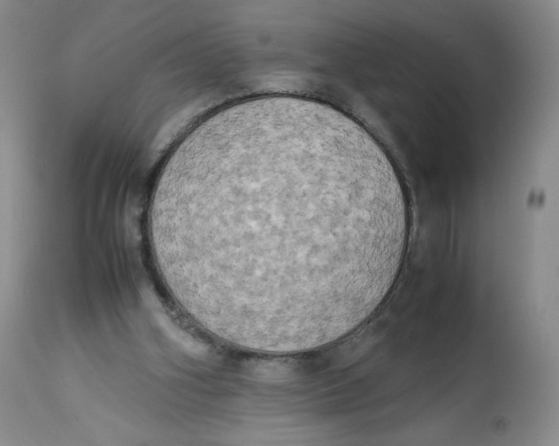 X0000112850106200909111454