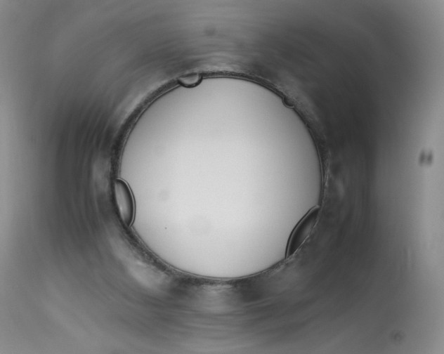 X0000112850108200909111454