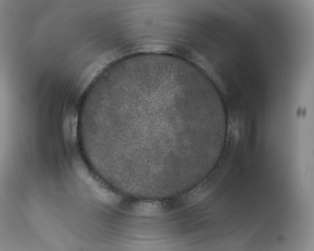 X0000112850110200909111454