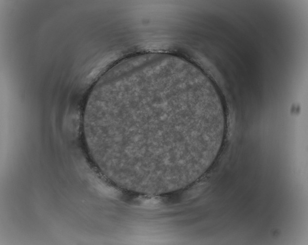 X0000112850113200909111454