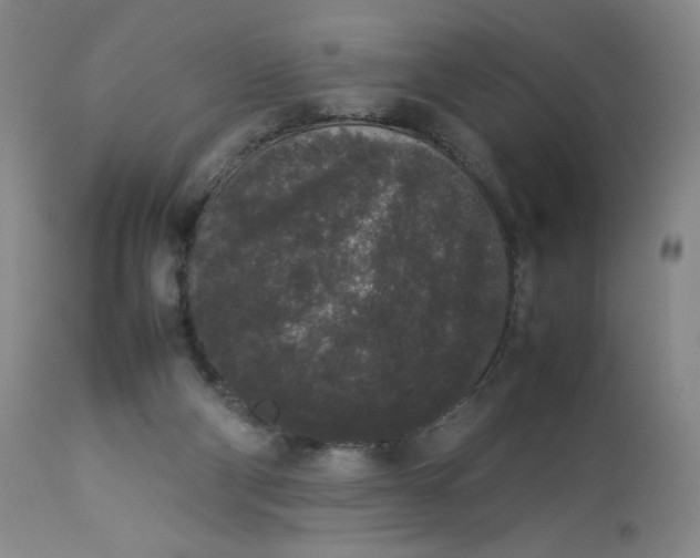 X0000112850114200909111454