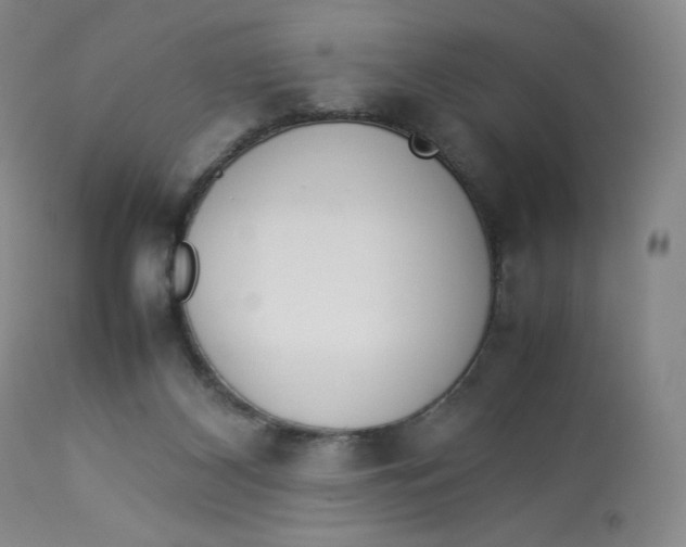 X0000112850116200909111454