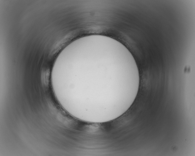 X0000112850118200909111454