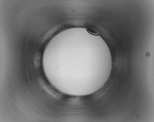 X0000112850120200909111454