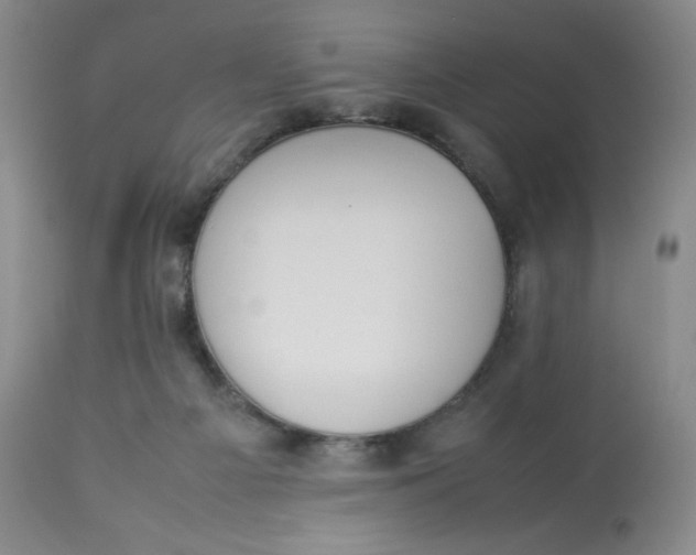 X0000112850121200909111454