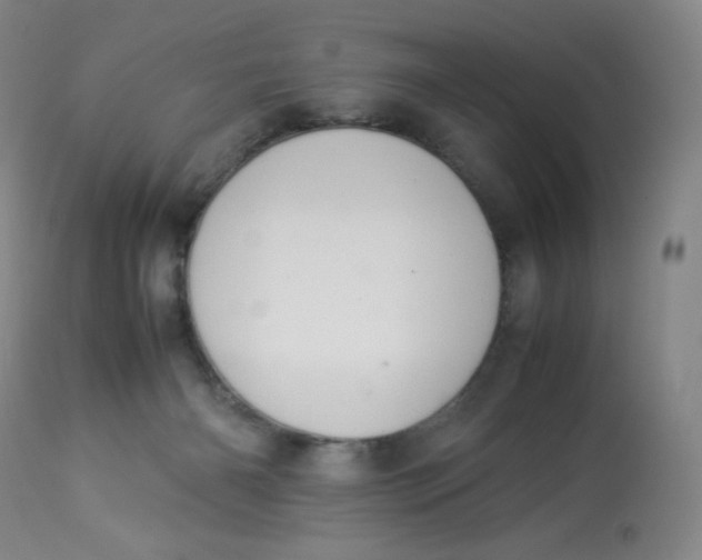 X0000112850126200909111454