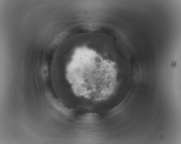 X0000112850128200909111454