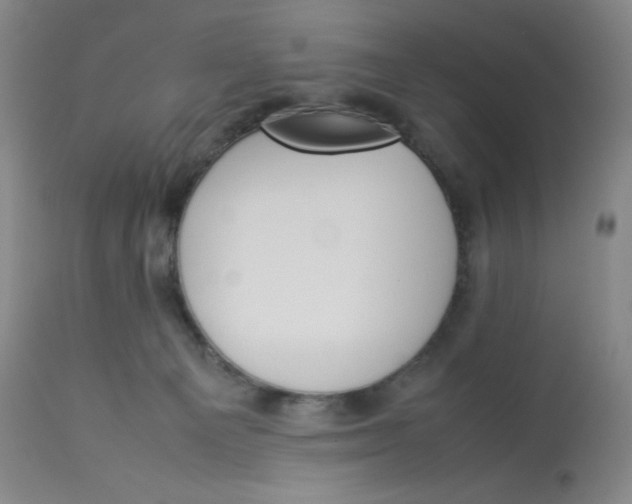 X0000112850129200909111454