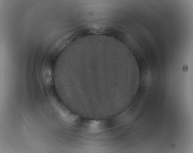 X0000112850130200909111454