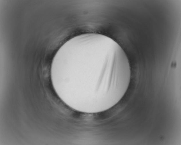 X0000112850131200909111454