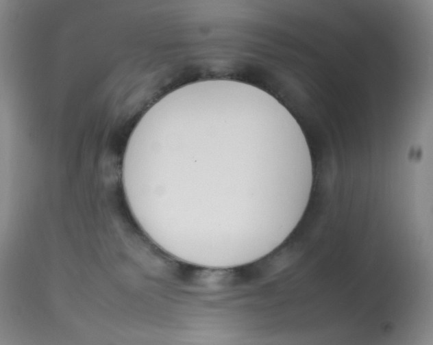 X0000112850135200909111454