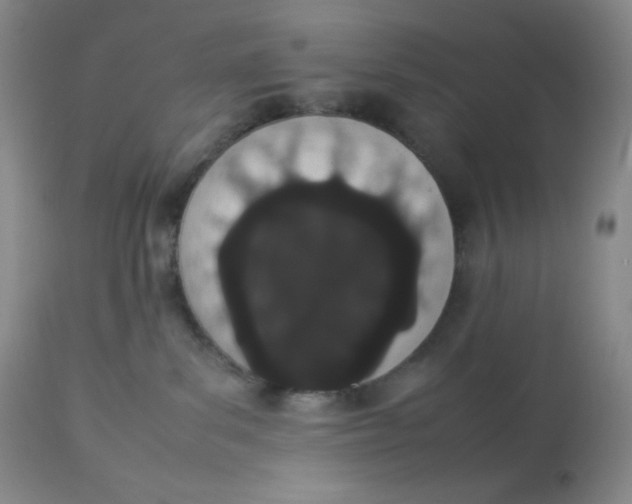 X0000112850139200909111454