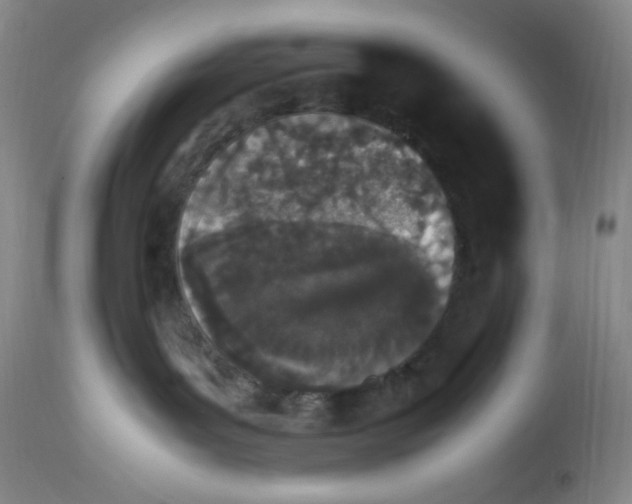 X0000112850143200909111454