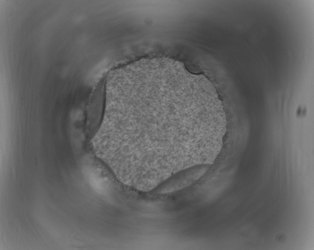 X0000112850144200909111454