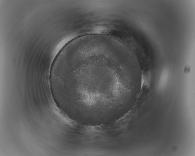 X0000112850147200909111453