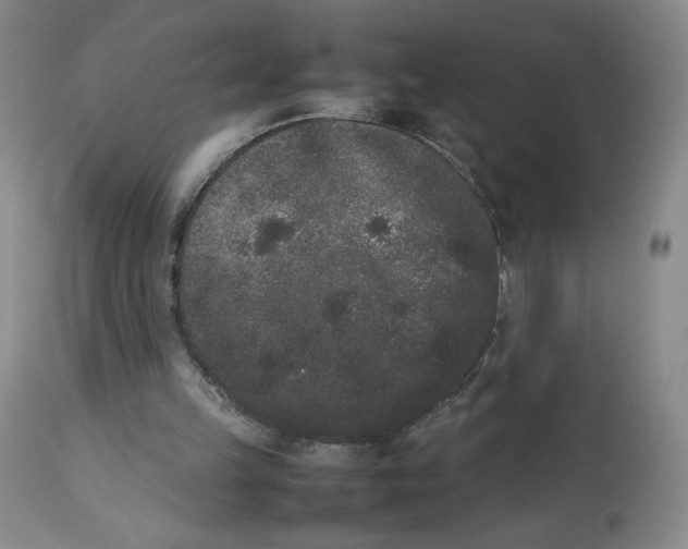 X0000112850149200909111453